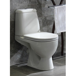 Унитаз-компакт Sanita Luxe MAX WC.CC/Max/2-DM/WHT.G/S1 с крышкой микролифт - фото 