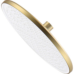 Верхний душ Raglo 250x250 мм R451.50.03, сатин золотой - фото 