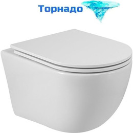 Унитаз подвесной безободковый Cezares Relax-Tor CZR-3806-53-TH-TOR/SC с крышкой микролифт (система смыва Торнадо) - фото 