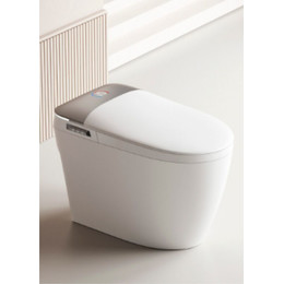Унитаз-биде приставной электронный с импульсным смывом Cerutti Ersilia Smart CT10616 - фото 