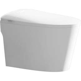 Унитаз-биде приставной электронный SantiLine SL-5036 - фото 