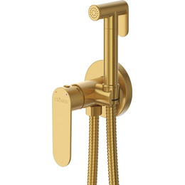 Набор для гигиенического душа Cezares STYLUS-DIF-BORO (со скрытой частью) брашированное золото, Цвет производителя: брашированное золото - фото 