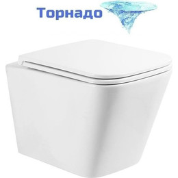 Унитаз подвесной безободковый BelBagno Ardente-Tor BB520CH-TOR/SC (система смыва торнадо) с крышкой микролифт - фото 