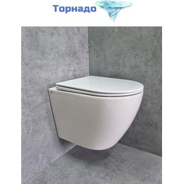 Унитаз подвесной CeramaLux Rimless TR2196 с крышкой микролифт (Система смыва торнадо) - фото 