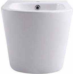 Биде подвесное Aquatek Вега AQ1057-MW, белый матовый - фото 