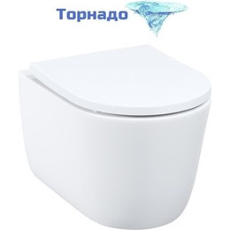 Унитаз подвесной безободковый Iddis Slide SLIRDSEi25 с крышкой микролифт (система смыва Торнадо) - фото 