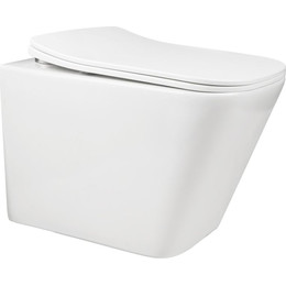 Унитаз подвесной безободковый AN Iron с крышкой микролифт - фото 