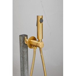 Набор для гигиенического душа Belz B55804-5 (со скрытой частью) золото матовое - фото 