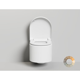 Унитаз подвесной безободковый Salini Gemelli 240121KSMF с крышкой микролифт (S-Stone) RAL полностью - фото 