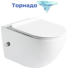 Унитаз-биде подвесной безободковый SantiLine SL-5002T-SM/BD с тонкой крышкой микролифт (система смыва Торнадо) - фото 