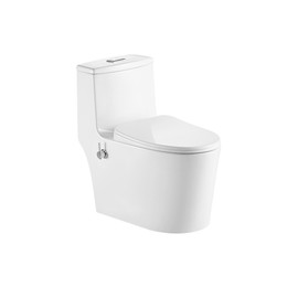 Унитаз-моноблок безободковый с функцией биде EvaGold EG050014 с тонкой крышкой микролифт - фото 