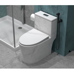 Унитаз-моноблок безободковый EvaGold EG060001 с тонкой крышкой микролифт, белый с декором - фото 