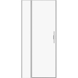 Душевая дверь Allen Brau Priority 90 см 3.31026.BA (стекло 8 мм) серебро браш/прозрачное - фото 