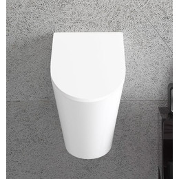 Писсуар подвесной Globo Forty3 FO030.BI - фото 