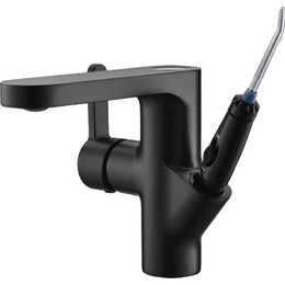Смеситель для раковины с ирригатором Bronze de Luxe Optimal 10188B, черный, Цвет производителя: чёрный - фото 