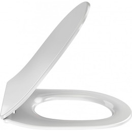 Сиденье с крышкой для унитаза Jacob Delafon Odeon Rive Gauche микролифт E24889-00 - фото 