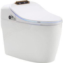 Унитаз-биде приставной безободковый электронный Timo ТЕ-731 с крышкой микролифт - фото 