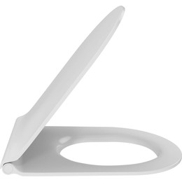 Сиденье с крышкой для унитаза Jacob Delafon Rodin+ микролифт E23280-00 - фото 