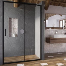 Душевая дверь Ravak Blix Slim BLSDP2 100 см X0PMA0300Z1 чёрный/прозрачное - фото 