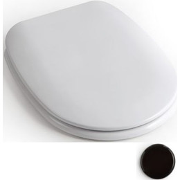 Сиденье с крышкой для унитаза White Ceramic Basic микролифт WC00S05SL, черный матовый - фото 