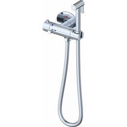 Набор для гигиенического душа с термостатом Gappo G7290 - фото 