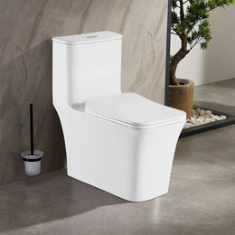 Унитаз-моноблок безободковый Azario Gressa AZ-1111 с крышкой микролифт - фото 