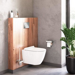 Унитаз подвесной безободковый Damixa Apollo DX22C1700SC с крышкой микролифт - фото 