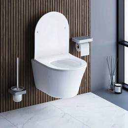 Унитаз подвесной безободковый Damixa Skyline DX35C1700SC с крышкой микролифт - фото 