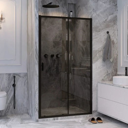 Душевая дверь Ambassador Forsa 120 см 17022218ABB, чёрный/тонированное - фото 