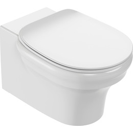 Унитаз подвесной безободковый Jacob Delafon Cleo 1889 EDZ102-0 - фото 