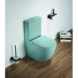 Унитаз-компакт CeramaLux Rimless 2166XMLG с крышкой микролифт (арматура Geberit) зелёный матовый, Цвет производителя: зелёный - фото 