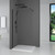 Душевая перегородка Parly 100х190 см T100B, чёрный/прозрачное - фото 3
