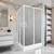 Душевое ограждение Parly 120х80 см ZQ121F, белый/матовое - фото 