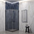 Душевое ограждение EvaGold 90х90 см EG220074, оружейная сталь/прозрачное - фото 
