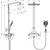 Душевая стойка Hansgrohe Raindance Select 360 Showerpipe 27112000 - фото 2
