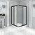 Душевое ограждение Радомир Дрим 100x100 см, черный/прозрачное - фото 