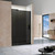 Душевая дверь Vincea Extra 110-120 см VDP-1E1112CGB (стекло 8 мм), черный/тонированное - фото 