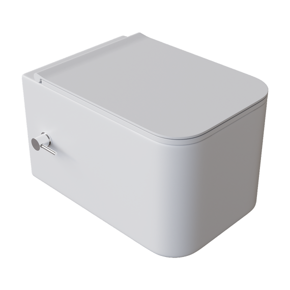 Унитаз-биде подвесной безободковый Boheme Mane 970-SET-2-MW с крышкой микролифт - фото 