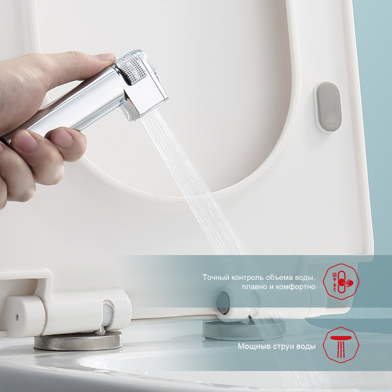 Набор для гигиенического душа с термостатом Raglo R24.56 (со скрытой частью) хром - фото 5