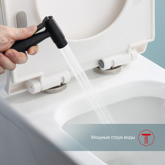 Набор для гигиенического душа Raglo R20.52.06 (со скрытой частью) чёрный - фото 5