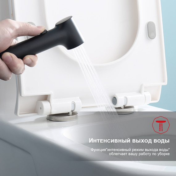 Набор для гигиенического душа Raglo R03.53.06 (со скрытой частью) чёрный - фото 5