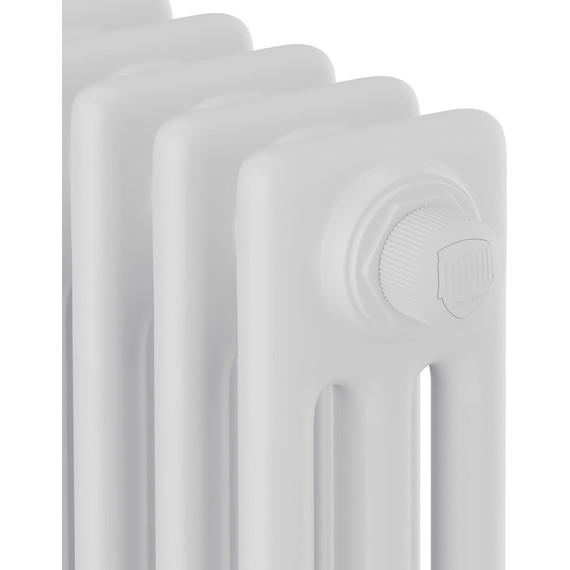 Вертикальный радиатор Royal Thermo Insignia VC3180 290x1800 мм (6 секций) - фото 3