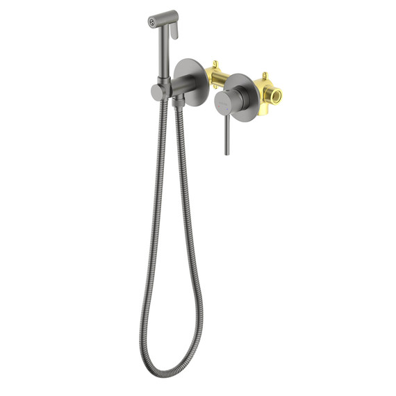 Набор для гигиенического душа Aquatek Европа AQ1319BGM (со скрытой частью) оружейная сталь - фото 