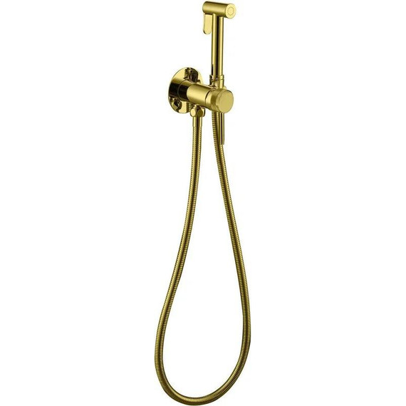 Набор для гигиенического душа Allen Brau Priority 5.31A29-GB (со скрытой частью) золото - фото 