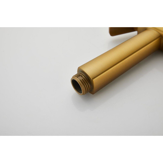 Набор для гигиенического душа Belz B55805-5 (со скрытой частью) золото матовое - фото 20