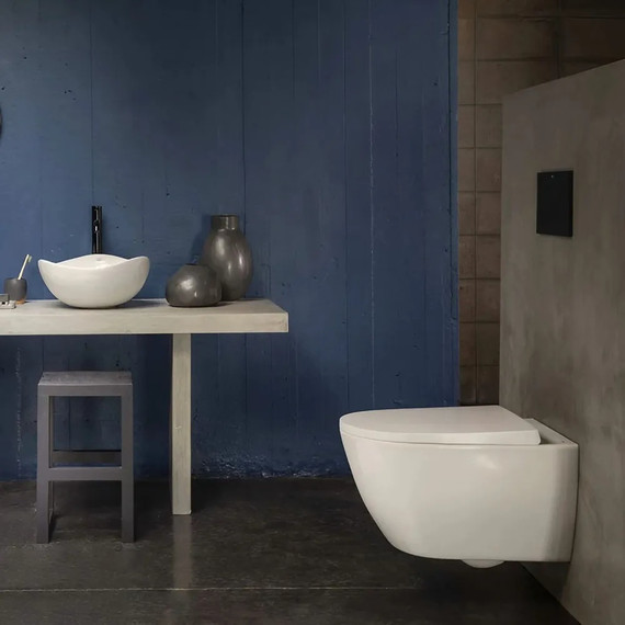 Сиденье с крышкой для унитаза Roca Ona ZRU9310293 - фото 7