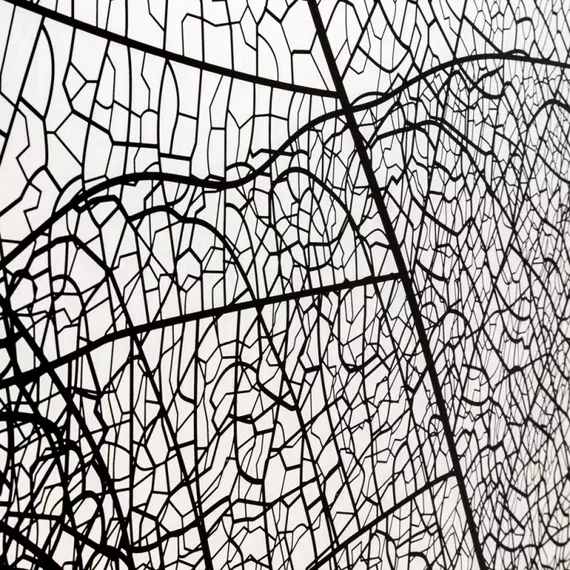 Душевая дверь Avacan (190-210) см FB2-190, чёрный/узор - фото 9