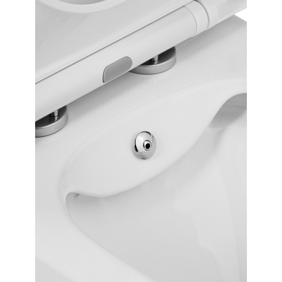 Унитаз-моноблок безободковый с функцией биде EvaGold EG050014 с тонкой крышкой микролифт - фото 6