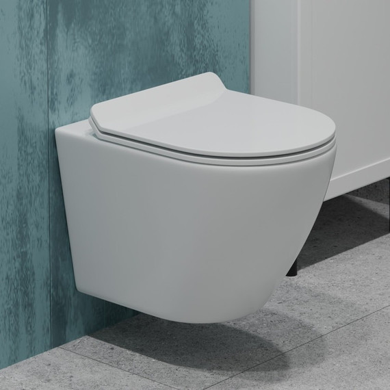 Унитаз подвесной безободковый EvaGold EG070001 с тонкой крышкой микролифт - фото 