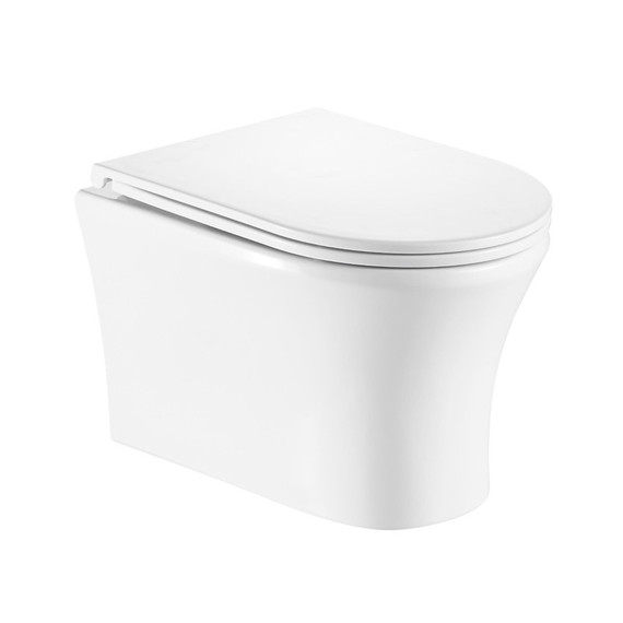 Унитаз подвесной безободковый EvaGold EG070002 с тонкой крышкой микролифт - фото 